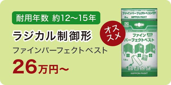 ファインパーフェクトベスト ファインパーフェクトベスト