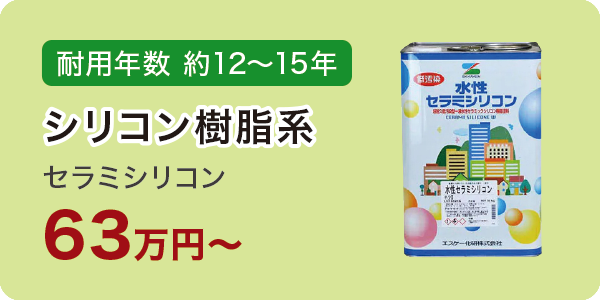 セラミシリコン セラミシリコン