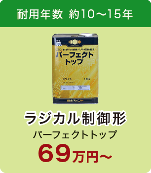 パーフェクトトップ