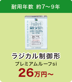 プレミアムルーフsi