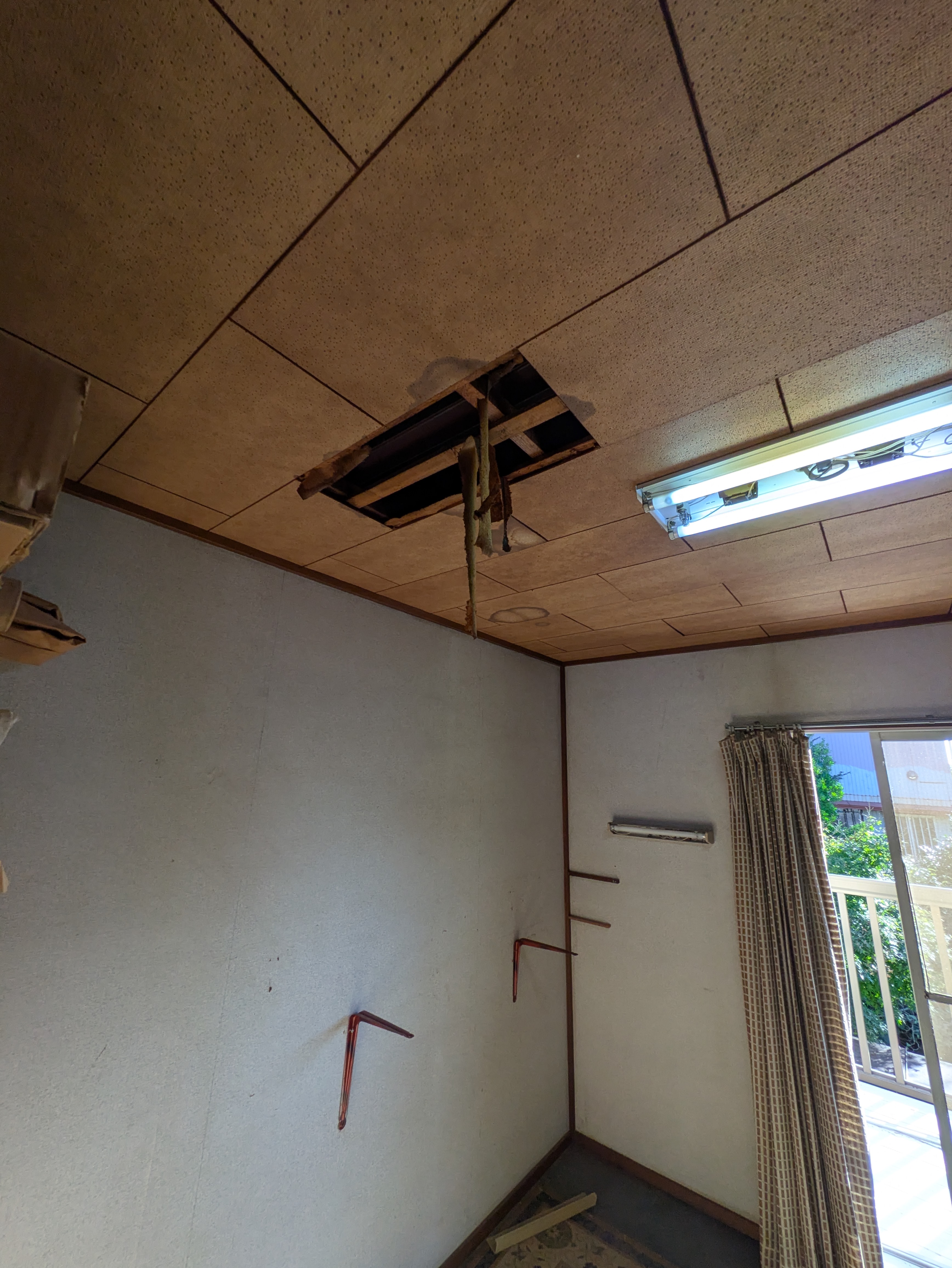 ���l�s���扮���h�������ς�