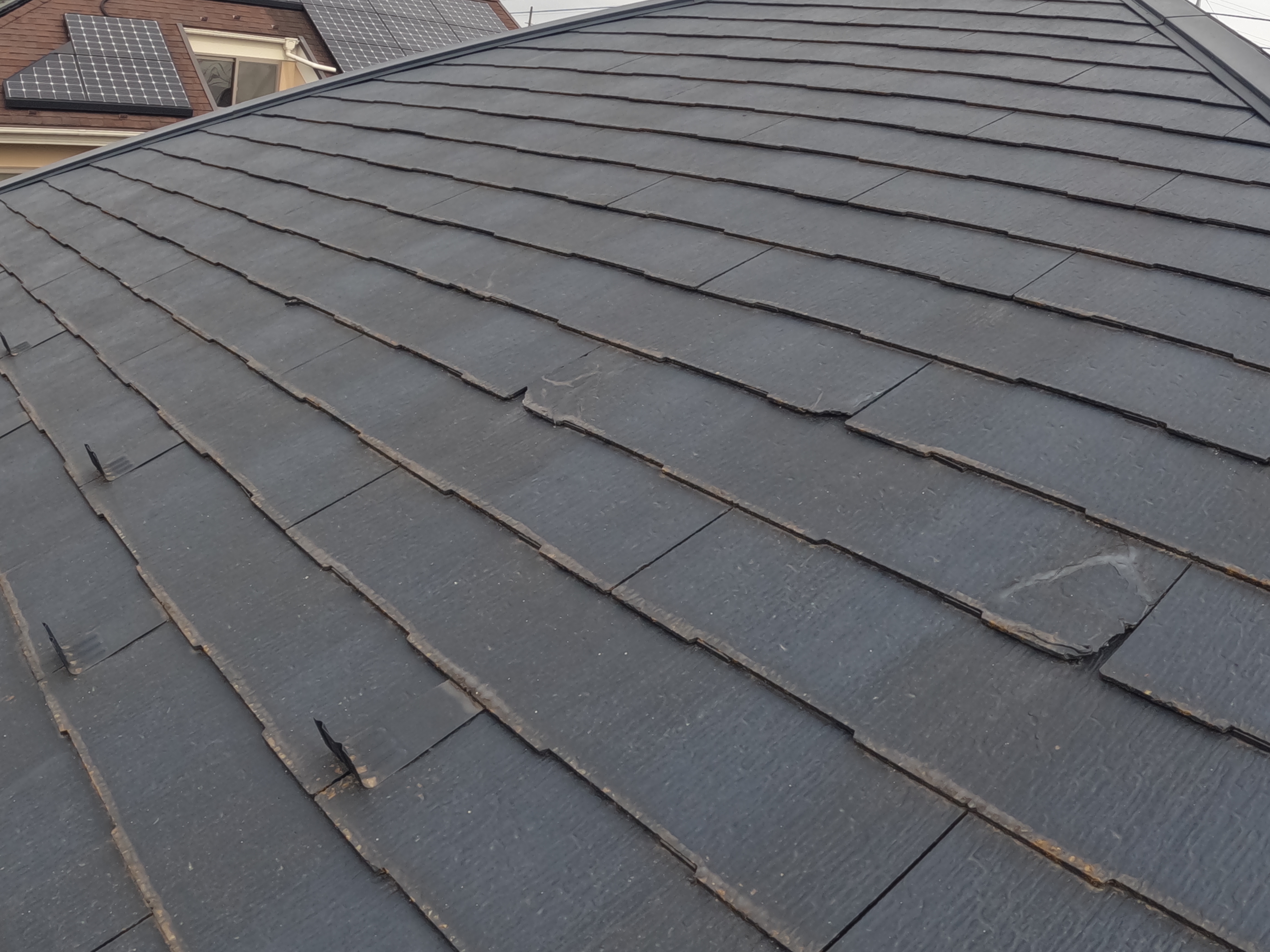 ���l�s�s�}�扮�������ւ��O�Ǔh���H���̋��z